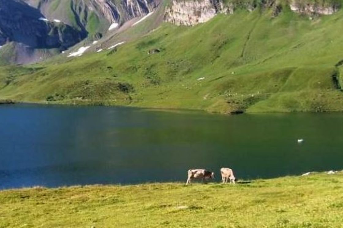 4-Seen Wanderung Melchsee-Frutt > Jochpass